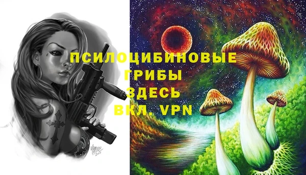 PSILOCYBIN Балабаново